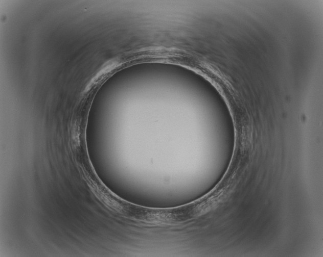 X0000086331451200703301217