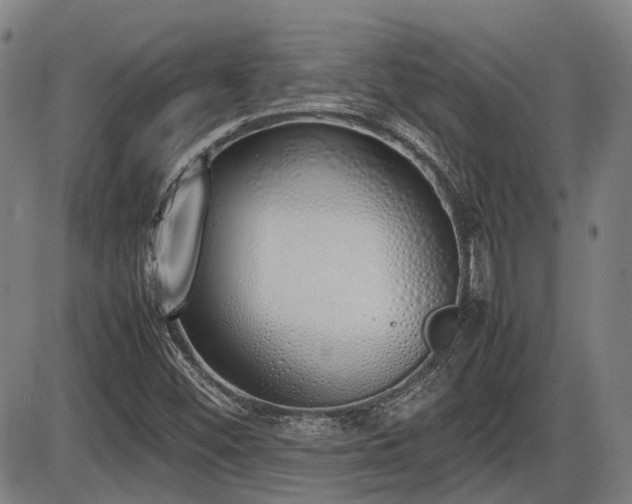 X0000086331452200703301217