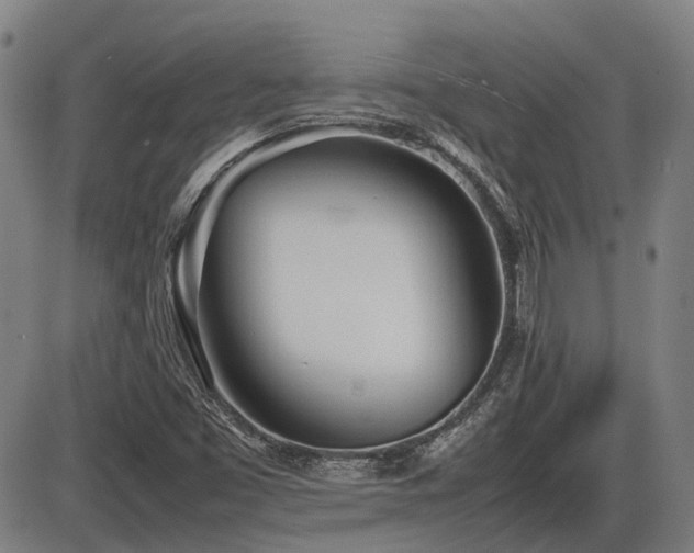 X0000086331453200703301217