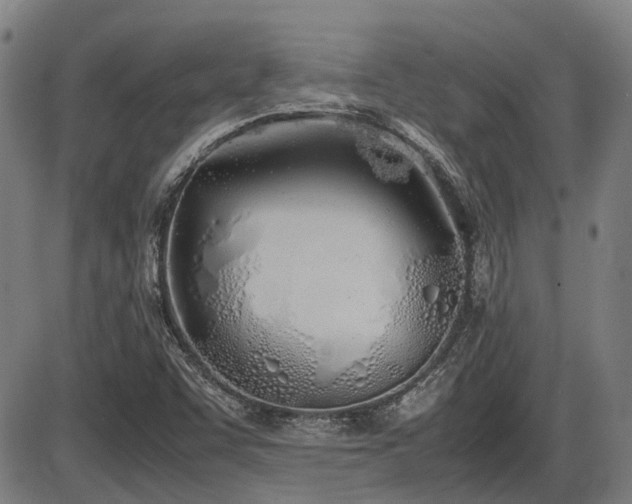 X0000086331455200703301217