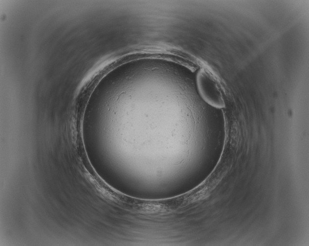 X0000086331456200703301217