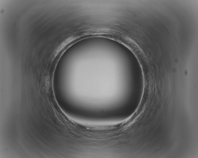 X0000086331457200703301217
