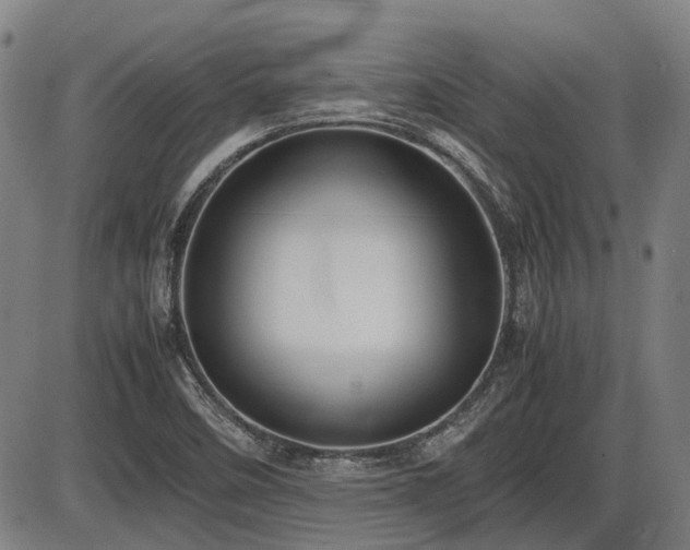X0000086331458200703301217