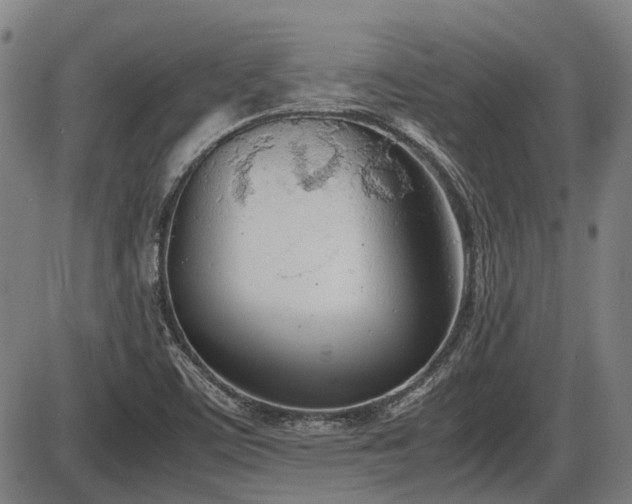 X0000086331459200703301217