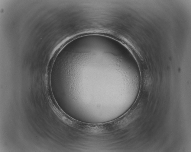 X0000086331460200703301217