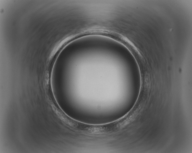 X0000086331461200703301217