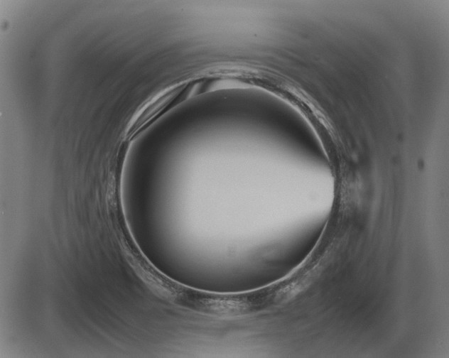 X0000086331465200703301217