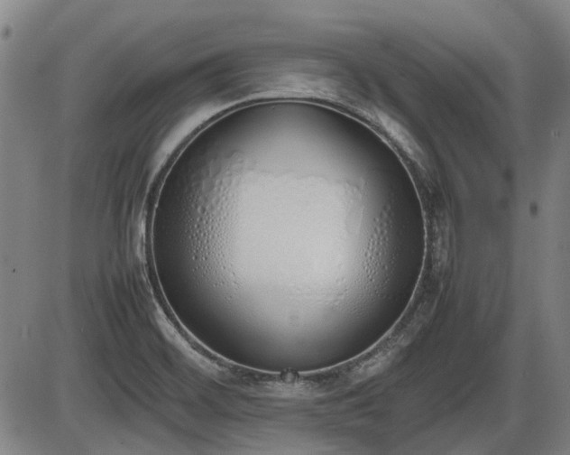X0000086331468200703301217