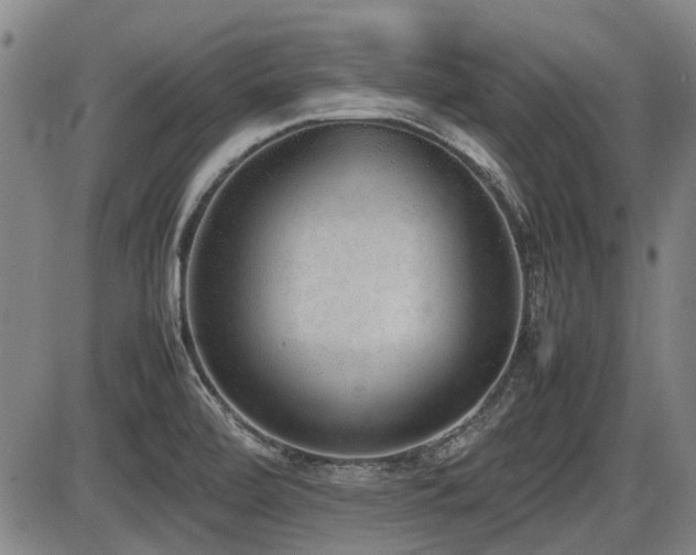 X0000086331472200703301217