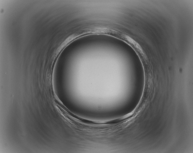 X0000086331473200703301217