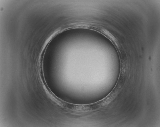 X0000086331475200703301217