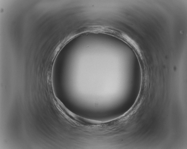 X0000086331481200703301217