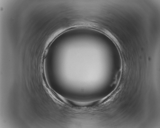 X0000086331485200703301217