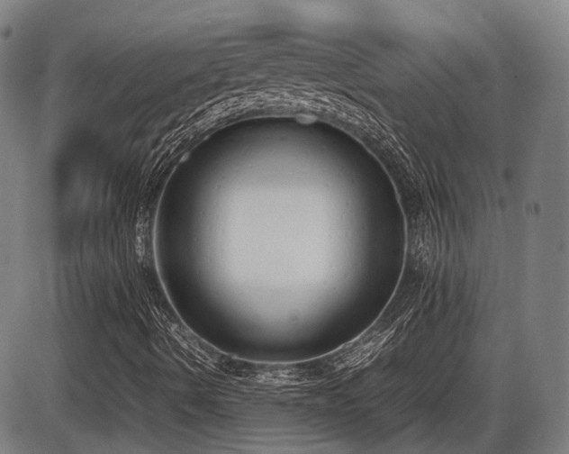 X0000086331490200703301216