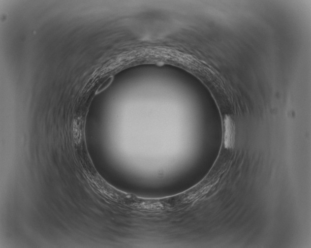 X0000086331491200703301216