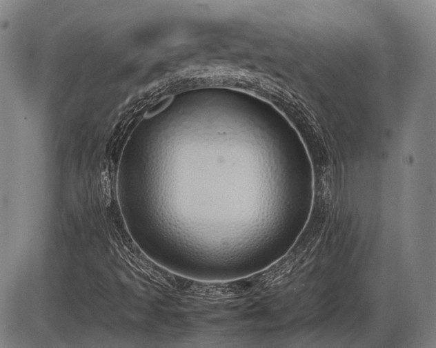 X0000086331493200703301216