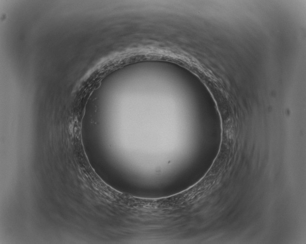 X0000086331495200703301216
