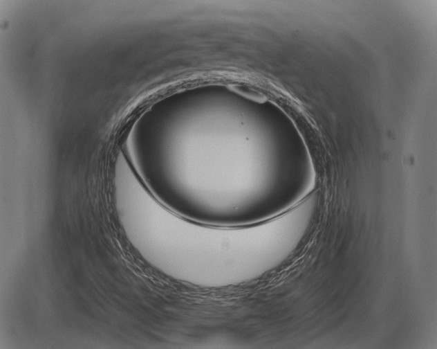 X0000086331496200703301216