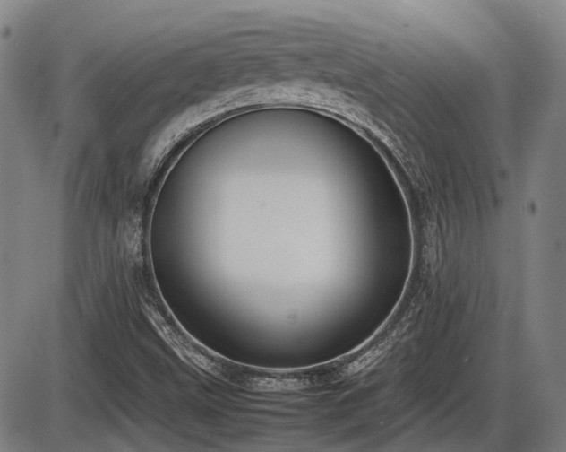 X0000086331499200703301216
