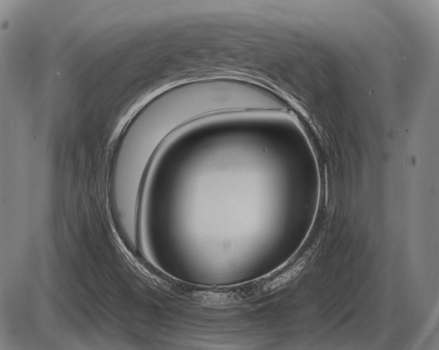 X0000086331500200703301216