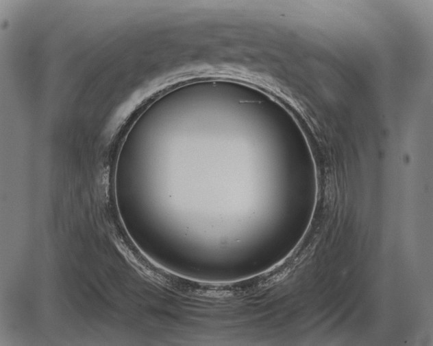 X0000086331503200703301216