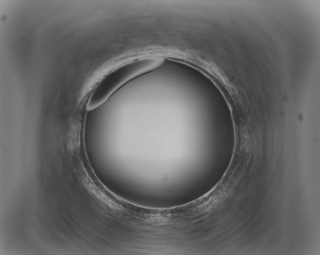 X0000086331504200703301216