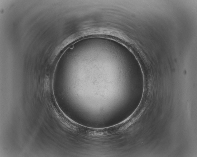X0000086331505200703301216