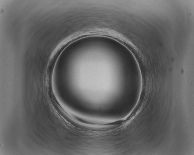 X0000086331506200703301216
