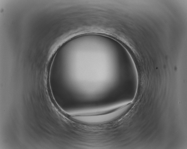 X0000086331508200703301216