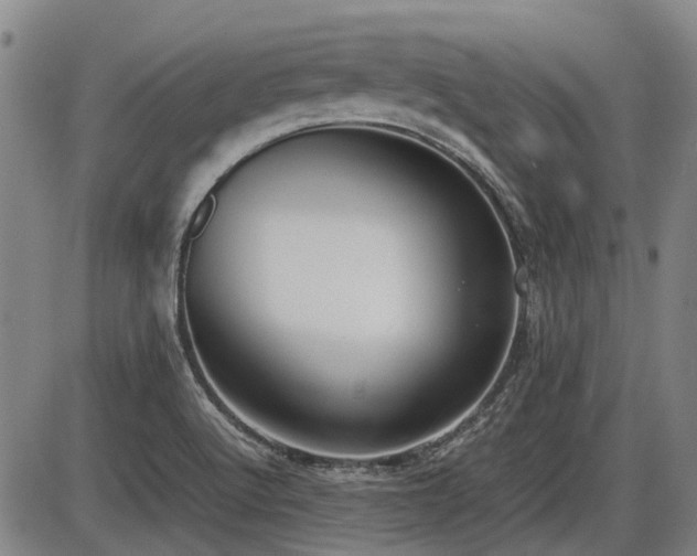 X0000086331512200703301216