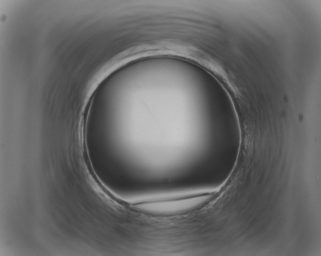 X0000086331516200703301217