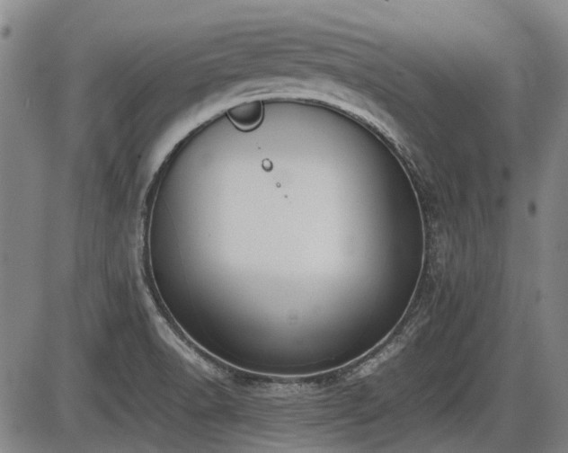 X0000086331518200703301217