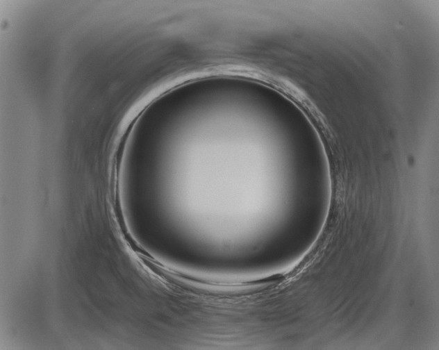 X0000086331520200703301217