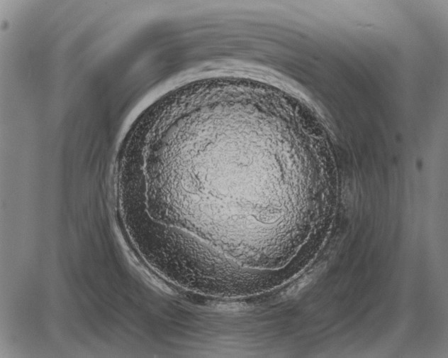 X0000086331522200703301217