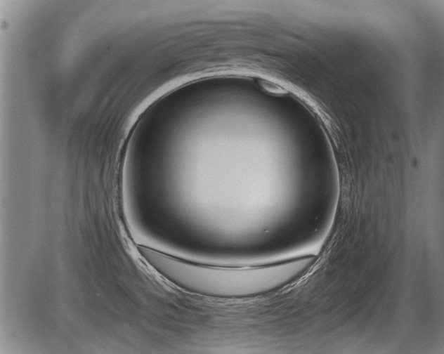 X0000086331534200703301217