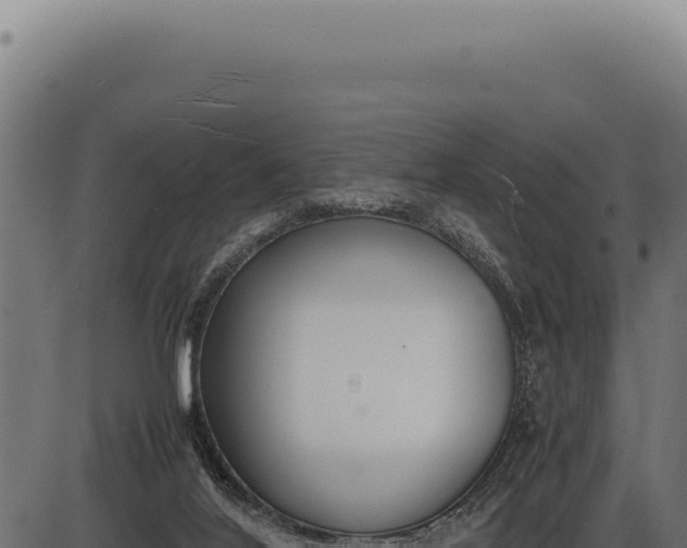 X0000086330020200704091150