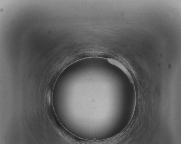 X0000086330021200704091150