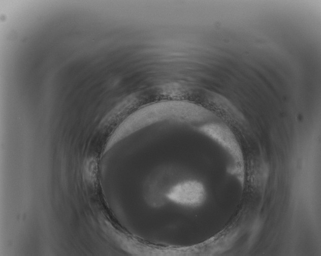 X0000086330036200704091149
