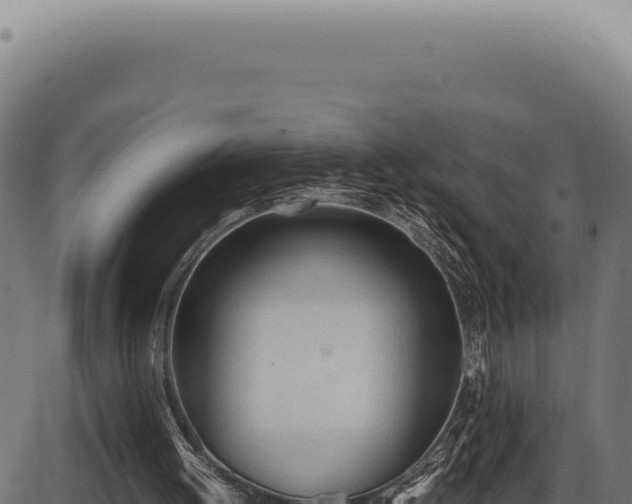X0000086330052200704091149
