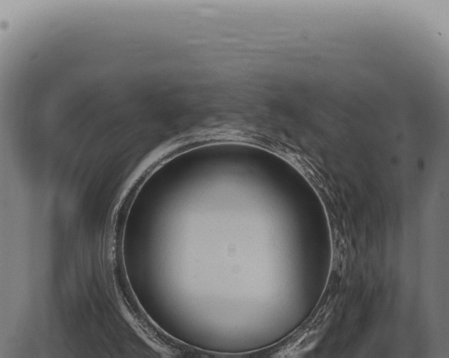 X0000086330056200704091149