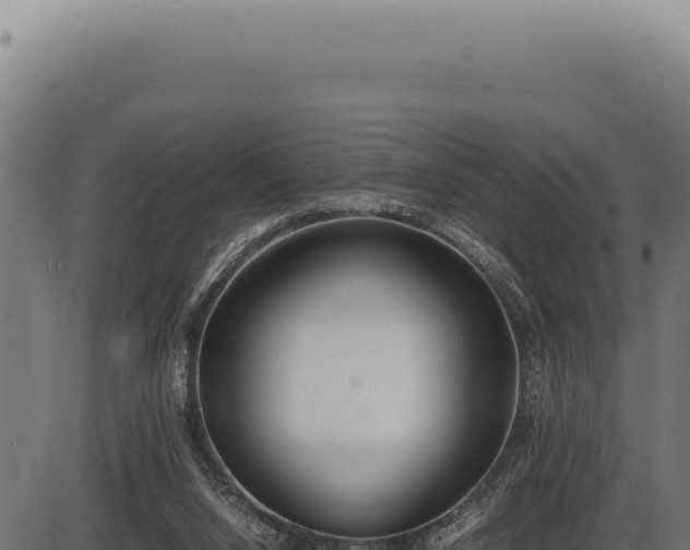 X0000086330064200704091149
