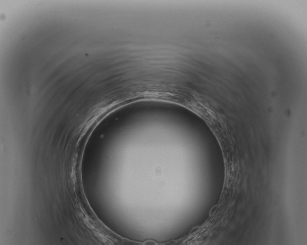 X0000086330098200704091148