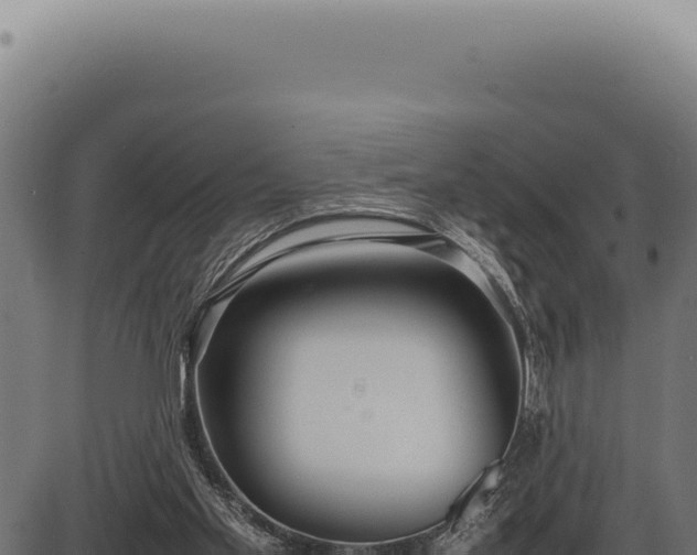 X0000086330109200704091148
