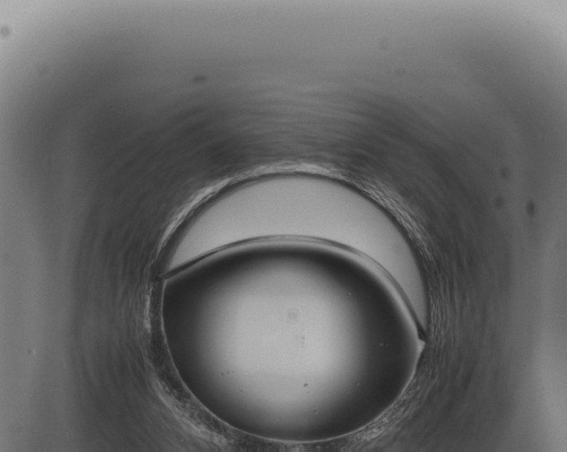 X0000086330112200704091148