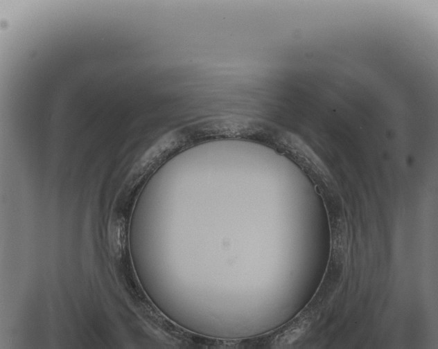 X0000086330119200704091148