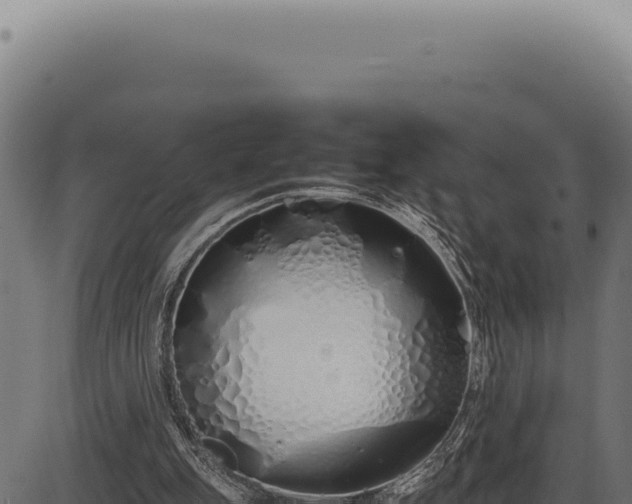 X0000086330151200704091147