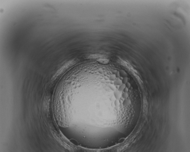 X0000086330153200704091147