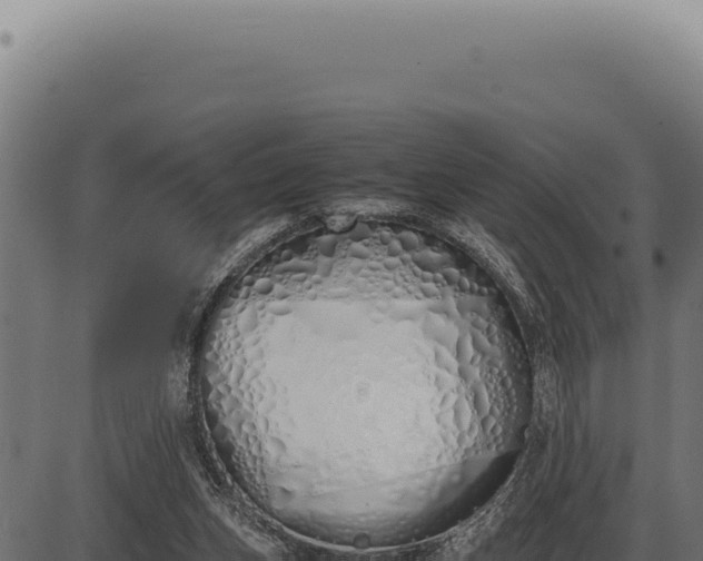 X0000086330159200704091147