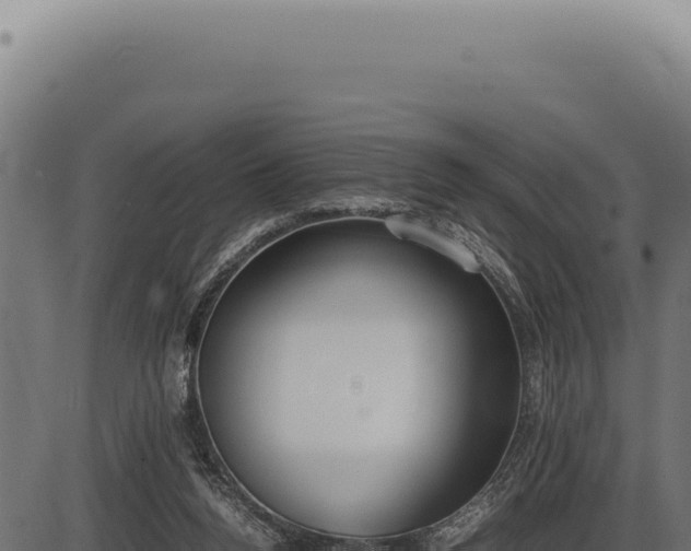 X0000086330160200704091147