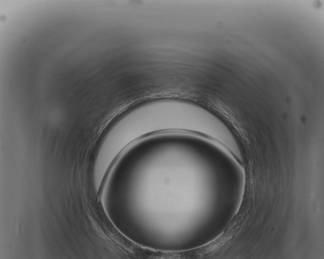 X0000086330164200704091147